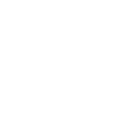 Instragram icon
